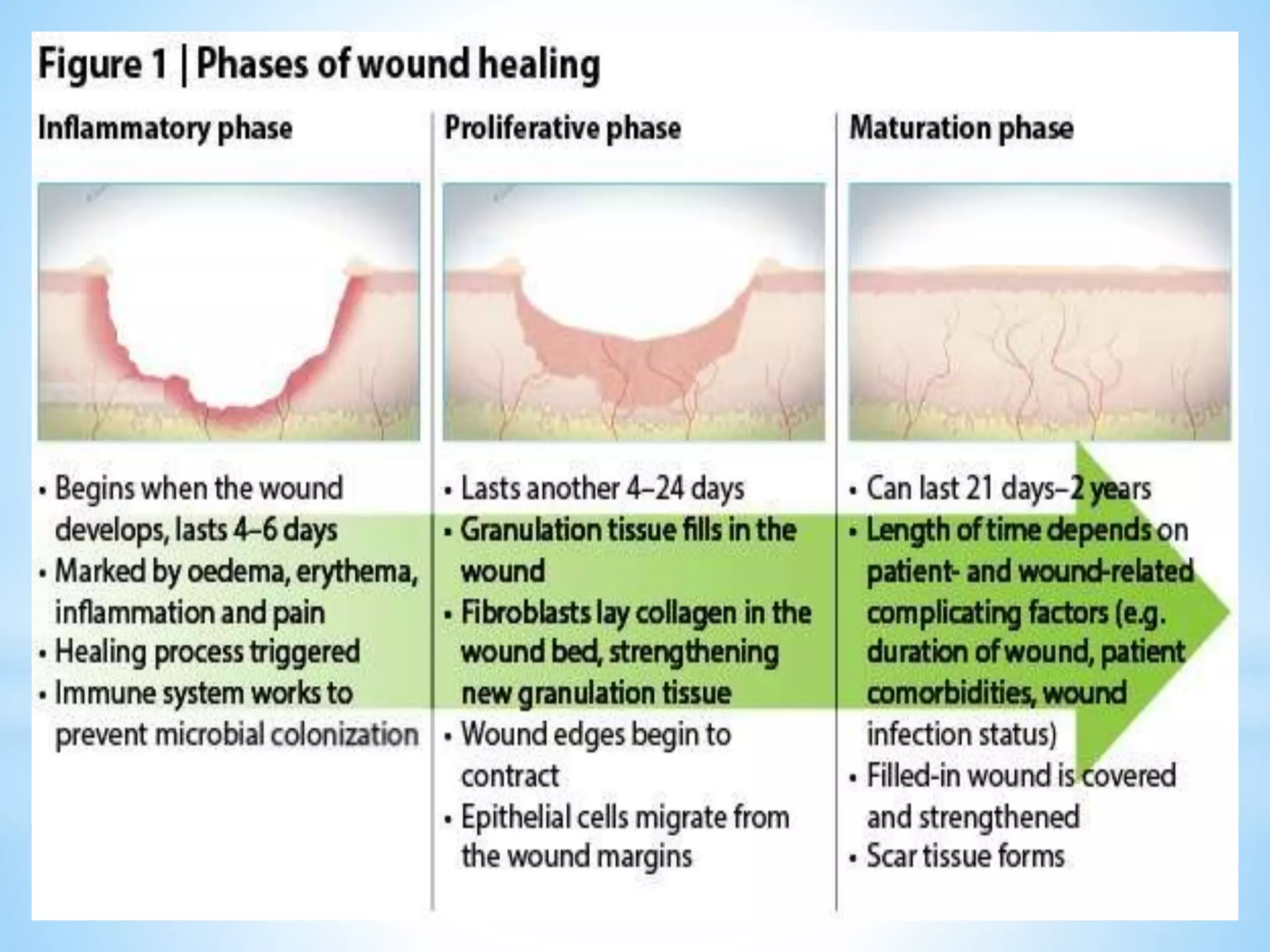 Break In Skin woundhealing.pdf