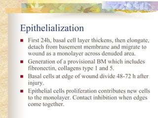 woundhealing-2.pdf
