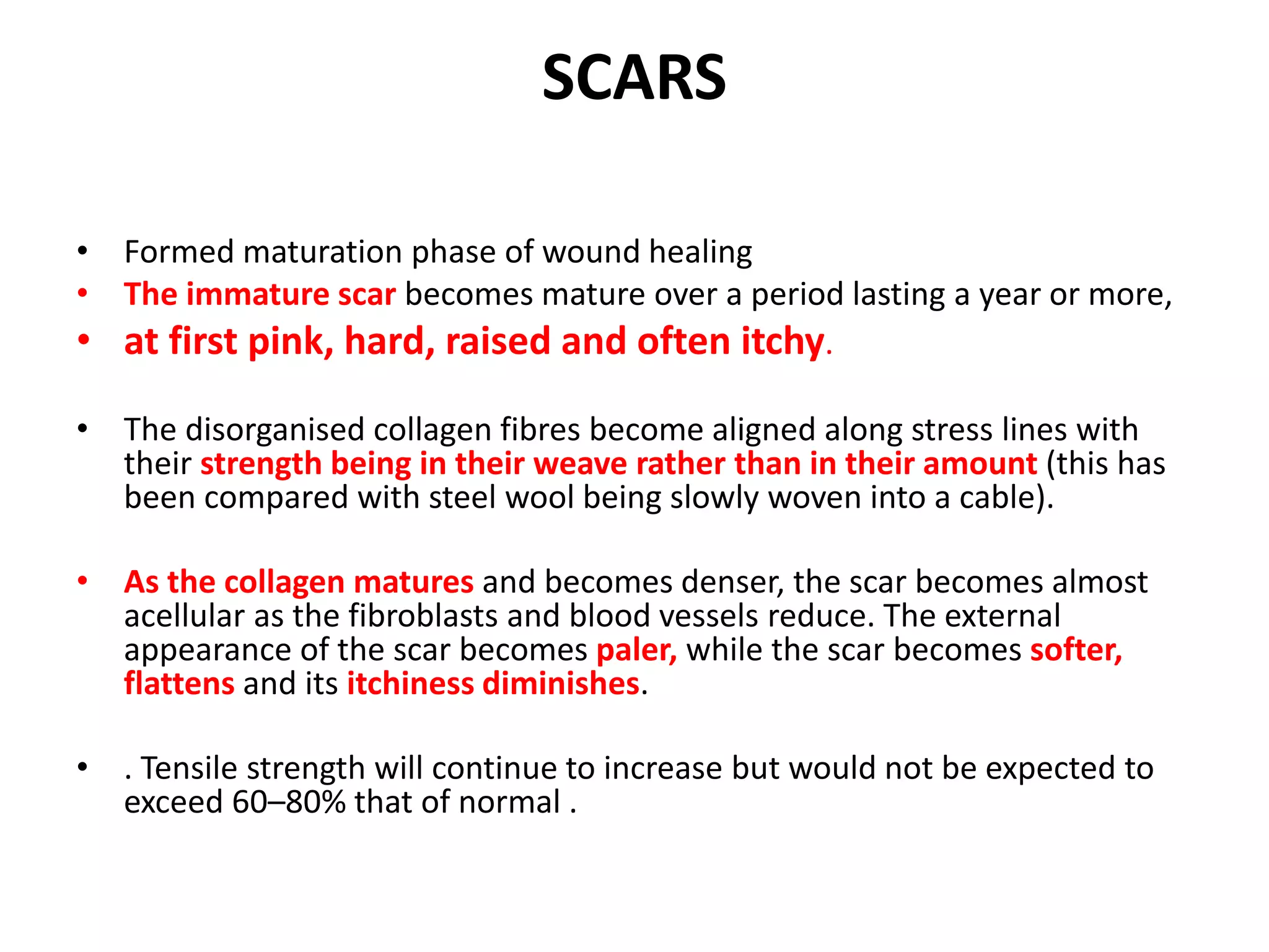 Maturing Scar Wound healing | PPTX