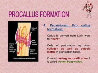 WOUND HEALING.ppt