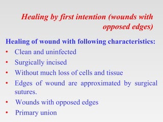 Healing by first intention (wounds with
opposed edges)
Healing of wound with following characteristics:
• Clean and uninfected
• Surgically incised
• Without much loss of cells and tissue
• Edges of wound are approximated by surgical
sutures.
• Wounds with opposed edges
• Primary union
 
