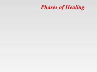 Phases of Healing
 
