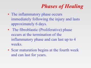 Phases of Healing
• The inflammatory phase occurs
immediately following the injury and lasts
approximately 6 days.
• The fibroblastic (Proliferative) phase
occurs at the termination of the
inflammatory phase and can last up to 4
weeks.
• Scar maturation begins at the fourth week
and can last for years.
 