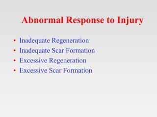 Abnormal Response to Injury
• Inadequate Regeneration
• Inadequate Scar Formation
• Excessive Regeneration
• Excessive Scar Formation
 