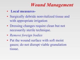 Wound Management
• Local measures-
• Surgically debride nonvitalized tissue and
with appropriate irrigation
• Dressing changes require clean but not
necessarily sterile technique.
• Remove foreign bodies
• Pat the wound surface with soft moist
gauze; do not disrupt viable granulation
tissue.
 