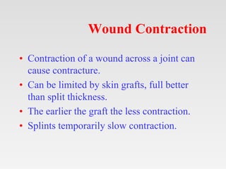 Wound Contraction
• Contraction of a wound across a joint can
cause contracture.
• Can be limited by skin grafts, full bet...