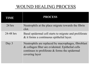 WOUND HEALING PROCESS
TIME PROCESS
24 hrs Neutrophils at the place migrate towards the fibrin
clot.
24-48 hrs Basal epidermal cell starts to migrate and proliferate
& it forms a continuous epithelial layer.
Day 3 Neutrophils are replaced by macrophages, fibroblast
& collagen fiber are evidented. Epithelial cells
continues to proliferate & forms the epidermal
covering layer
 