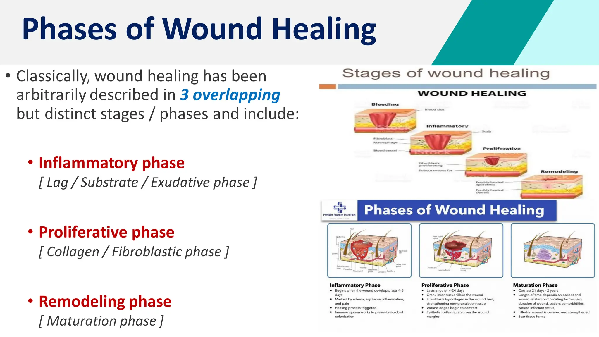 4
• Classically, wound healing has been
arbitrarily described in 3 overlapping
but distinct stages / phases and include:
• Inflammatory phase
[ Lag / Substrate / Exudative phase ]
• Proliferative phase
[ Collagen / Fibroblastic phase ]
• Remodeling phase
[ Maturation phase ]
Phases of Wound Healing
 