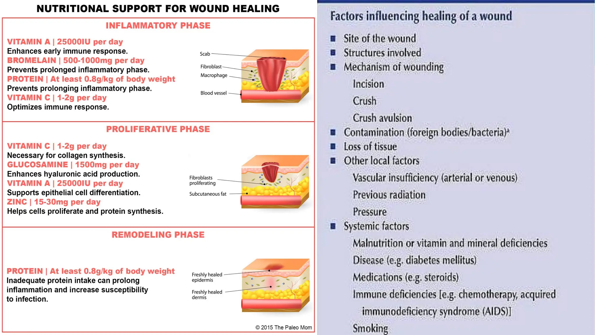 Wound Healing