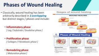 4
• Classically, wound healing has been
arbitrarily described in 3 overlapping
but distinct stages / phases and include:
• Inflammatory phase
[ Lag / Substrate / Exudative phase ]
• Proliferative phase
[ Collagen / Fibroblastic phase ]
• Remodeling phase
[ Maturation phase ]
Phases of Wound Healing
 