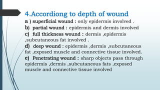4.Accordiong to depth of wound
a ) superficial wound : only epidermis involved .
b) partial wound : epidermis and dermis involved
c) full thickness wound : dermis ,epidermis
,subcutaneous fat involved .
d) deep wound : epidermis ,dermis ,subcutaneous
fat ,exposed muscle and connective tissue involved.
e) Penetrating wound : sharp objects pass through
epidermis ,dermis ,subcutaneous fats ,exposed
muscle and connective tissue involved
 