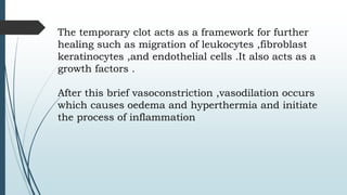 The temporary clot acts as a framework for further
healing such as migration of leukocytes ,fibroblast
keratinocytes ,and endothelial cells .It also acts as a
growth factors .
After this brief vasoconstriction ,vasodilation occurs
which causes oedema and hyperthermia and initiate
the process of inflammation
 