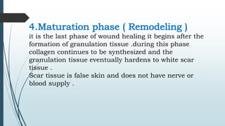 4.Maturation phase ( Remodeling )
it is the last phase of wound healing it begins after the
formation of granulation tissue .during this phase
collagen continues to be synthesized and the
granulation tissue eventually hardens to white scar
tissue .
Scar tissue is false skin and does not have nerve or
blood supply .
 