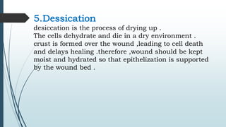 5.Dessication
desiccation is the process of drying up .
The cells dehydrate and die in a dry environment .
crust is formed over the wound ,leading to cell death
and delays healing .therefore ,wound should be kept
moist and hydrated so that epithelization is supported
by the wound bed .
 