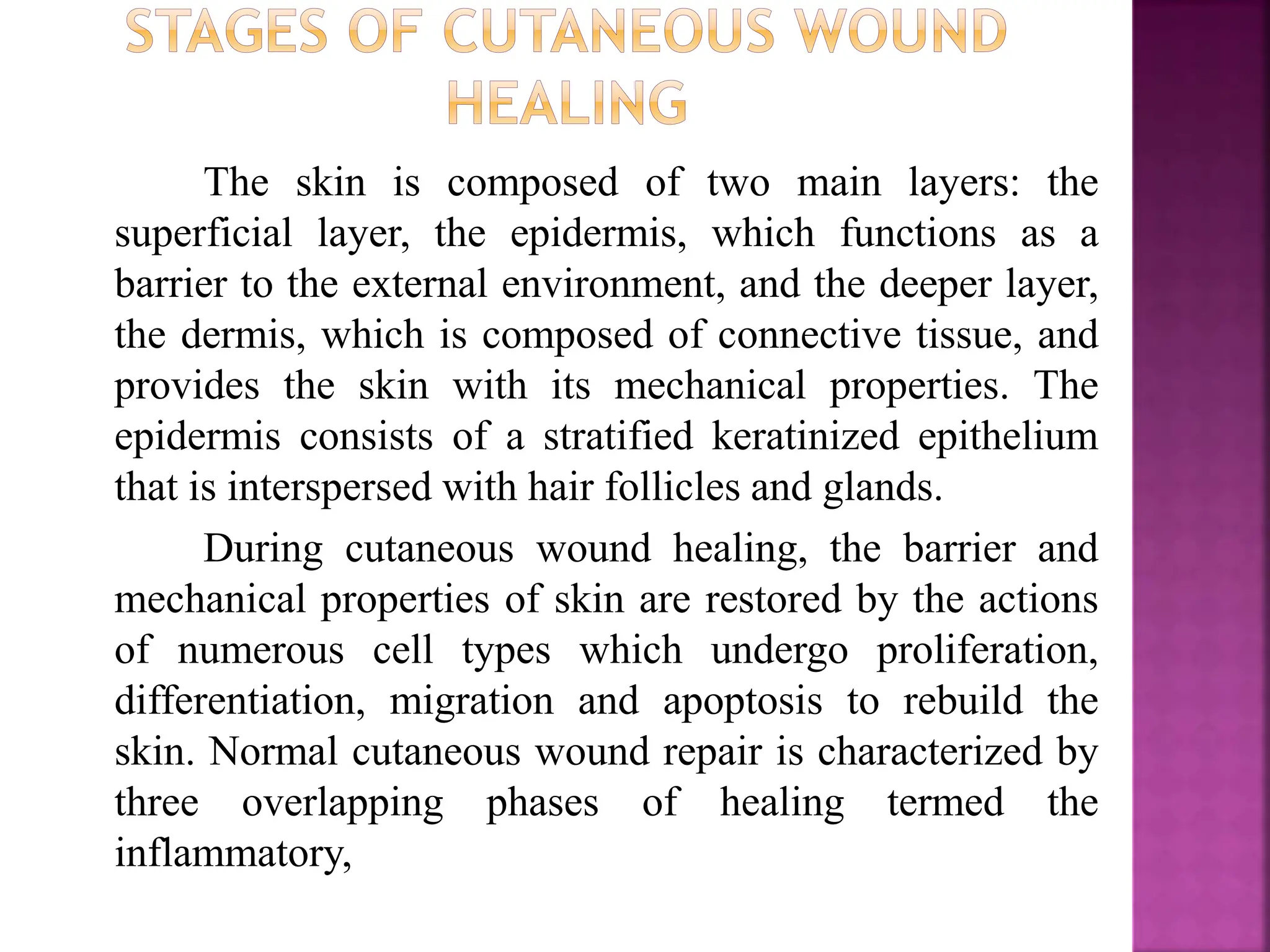 PROCESS OF WOUND HEALING BPHARM 2ND SEM PATHOPHYSIOLOGY.pptx | Skin and ...