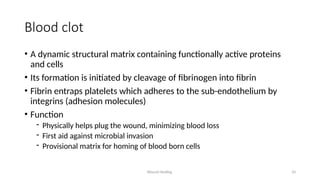 Wound Healing 10
Blood clot
• A dynamic structural matrix containing functionally active proteins
and cells
• Its formation is initiated by cleavage of fibrinogen into fibrin
• Fibrin entraps platelets which adheres to the sub-endothelium by
integrins (adhesion molecules)
• Function
- Physically helps plug the wound, minimizing blood loss
- First aid against microbial invasion
- Provisional matrix for homing of blood born cells
 
