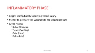 Wound Healing 11
INFLAMMATORY PHASE
• Begins immediately following tissue injury
• Meant to prepare the wound site for wound closure
• Gives rise to
- Rubor (Redness)
- Tumor (Swelling)
- Calor (Heat)
- Dolor (Pain)
 