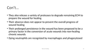 Wound Healing 14
Con’t…
• They also release a variety of proteases to degrade remaining ECM to
prepare the wound for healing
• Their absence does not appear to prevent the overall progress of
wound healing
• Their prolonged persistence in the wound has been proposed to be a
primary factor in the conversion of acute wounds into non-healing
chronic wounds
• Dying neutrophils are recognized by macrophages and phagocytosed
 