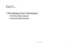 Wound Healing 16
Con’t…
• Macrophages have 2 phenotypes
- M1 (Pro-inflammatory)
- M2 (Anti-inflammatory)
 