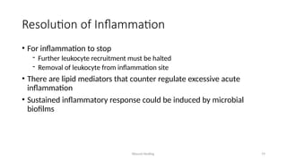 Wound Healing 19
Resolution of Inflammation
• For inflammation to stop
- Further leukocyte recruitment must be halted
- Removal of leukocyte from inflammation site
• There are lipid mediators that counter regulate excessive acute
inflammation
• Sustained inflammatory response could be induced by microbial
biofilms
 