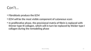 Wound Healing 23
Con’t…
• Fibroblasts produce the ECM
• ECM will be the most visible component of cutaneous scars
• In proliferative phase, the provisional matrix of fibrin is replaced with
thinner type III collagen, which will in turn be replaced by thicker type I
collagen during the remodeling phase
 