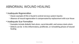 Wound Healing 28
ABNORMAL WOUND HEALING
• Inadequate Regeneration
- Classic example of this is found in central nervous system injuries
- Absence of neural regeneration is compensated by replacement with scar tissue
• Inadequate Scar Formation
- Examples include diabetic foot ulcers, sacral decubiti, and venous stasis ulcers
- Defects can be in the inflammatory, proliferate, or remodeling phases of wound
healing
 