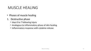 Wound Healing 33
MUSCLE HEALING
• Phases of muscle healing
1. Destructive phase
• days 0 to 7 following injury
• Analogous to inflammatory phase of skin healing
• Inflammatory response with cytokine release
 