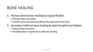 Wound Healing 35
BONE HEALING
1. Primary (direct) bone healing by surgical fixation
• Minimal callus formation
• Lamellar bone formation parallel to the long axis of the bone
2. Secondary (indirect) bone healing by external splint/cast fixation
• Typical callus formation
• Immobilization is important to allow for healing
 