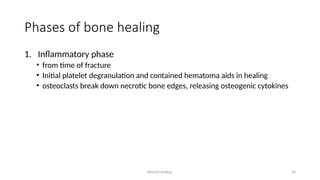 Wound Healing 36
Phases of bone healing
1. Inflammatory phase
• from time of fracture
• Initial platelet degranulation and contained hematoma aids in healing
• osteoclasts break down necrotic bone edges, releasing osteogenic cytokines
 