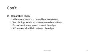 Wound Healing 37
Con’t…
2. Reparative phase
• Inflammatory debris is cleared by macrophages
• Vascular ingrowth from periosteum and endosteum
• Formation of newly woven bone at the edges
• At 3 weeks callus fills in between the edges
 