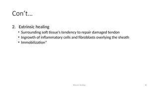 Wound Healing 40
Con’t…
2. Extrinsic healing
• Surrounding soft tissue’s tendency to repair damaged tendon
• Ingrowth of inflammatory cells and fibroblasts overlying the sheath
• Immobilization*
 