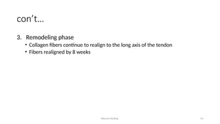 Wound Healing 43
con’t…
3. Remodeling phase
• Collagen fibers continue to realign to the long axis of the tendon
• Fibers realigned by 8 weeks
 