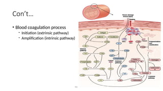 Wound Healing 8
Con’t…
• Blood coagulation process
- Initiation (extrinsic pathway)
- Amplification (intrinsic pathway)
 
