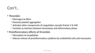 Wound Healing 9
Con’t..
• Thrombin
- Fibrinogen to fibrin
- Promote platelet aggregation
- Activates other components of coagulation cascade (Factor V & VIII)
- Function as interface between hemostasis and inflammatory phase
• Proinflammatory effects of thrombin
- Stimulation of vasodilation
- Induces release of proinflammatory cytokines by endothelial cells and monocytes
 