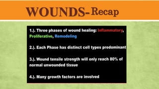 WOUNDS-Recap
 