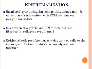 Wound healing | PDF