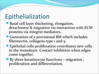 Wound healing dr sumer | PPT