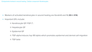 - Markers of activated keratinocytes in wound healing are Keratin6 and 16 (K6 & K16)


- Important GFs include:


Keratinocyte GF/ FGF-7 :


Hepatocyte GF


Epidermal GF


TGF-alpha:induces hsp 90 alpha which promotes epidermal and dermal cell migration


TGF-beta
Components involved in wound healing : Cellular component- Keratinocytes


 