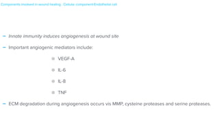 - Innate immunity induces angiogenesis at wound site


- Important angiogenic mediators include:


VEGF-A


IL-6


IL-8


TNF


- ECM degradation during angiogenesis occurs vis MMP, cysteine proteases and serine proteases.
Components involved in wound healing : Cellular component-Endothelial cell


 