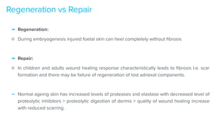 - Regeneration:


During embryogenesis injured foetal skin can heel completely without
fi
brosis


- Repair:


In children and adults wound healing response characteristically leads to
fi
brosis I.e. scar
formation and there may be failure of regeneration of lost adnexal components.


- Normal ageing skin has increased levels of proteases snd elastase with decreased level of
proteolytic inhibitors > proteolytic digestion of dermis > quality of wound healing increase
with reduced scarring.
Regeneration vs Repair
 