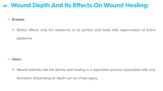 - Wound Depth And Its Effects On Wound Healing:
- Erosion:


Defect a
ff
ects only the epidermis or its portion and heals with regeneration of entire
epidermis


- Ulcer:


Wound extends into the dermis and healing is a reparative process associated with scar
formation. Depending on depth can be of two types:


 