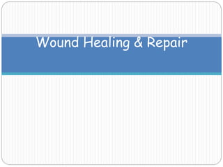 Wound Healing & Repair
 