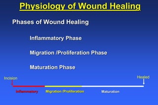 Incision Phase Wound Healing and Suture Knowledge-Kim_Bayer.ppt