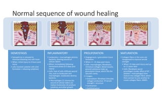 Normal sequence of wound healing
HEMOSTASIS
• Epinephrine is released to
minimize bleeding into soft tisses
• When: initial injury to 3 hours post
injury
• cells involved: platelet cells (clot
formation + releasing cytokines)
INFLAMMATORY
• Leukocytes + macrophages destroy
bacteria, cleaning wound of
cellular debris
• When: immediately following
hemostasis phase (0-3 days post
injury)
• Cells: host of cells infiltrate wound
site, such as leukocytes and
macrophages. Leukocytes destroy
bacteria.
• Macrophages (1) cleanse the
wound of cellular debris (2)
replace leukocytes (3) produce
cytokines and other growth
factors (chemoattractant to other
PROLIFERATION
• Angiogenesis + granulation tissue
formation
• When: 3 – 21 days post injury
• Cells: macrophages; fibroblasts;
immature collagen; blood vessels;
ground substance make up
granulation tissue, which fills the
wound’s cavity.
• 3 stages:
• Granulation: fibroblast stimulate
collagen production  tensile
strength + structure
• Contraction
• Epithilialization
MATURATION
• Collagen fibers in the scars are
reorganized to improve tensile
strength
• When: 21 days post injury and up
to 1.5 years later
• Cells: fibroblasts secret
procollagen (under affect of GF –
platelet + macrophages) then
mature into collagen fibril, which
then connect to one another to
create collagen fibers. MMPs
 