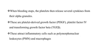 When bleeding stops, the platelets then release several cytokines from
their alpha granules.
These are platelet-derived growth factor (PDGF), platelet factor IV
and transforming growth factor beta (TGFβ).
These attract inflammatory cells such as polymorphonuclear
leukocytes (PMN) and macrophages
 