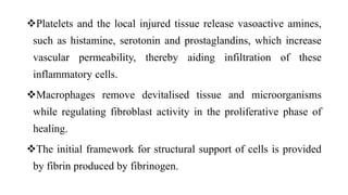 Platelets and the local injured tissue release vasoactive amines,
such as histamine, serotonin and prostaglandins, which increase
vascular permeability, thereby aiding infiltration of these
inflammatory cells.
Macrophages remove devitalised tissue and microorganisms
while regulating fibroblast activity in the proliferative phase of
healing.
The initial framework for structural support of cells is provided
by fibrin produced by fibrinogen.
 