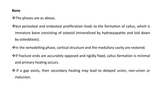 Bone
The phases are as above,
but periosteal and endosteal proliferation leads to the formation of callus, which is
immature bone consisting of osteoid (mineralised by hydroxyapatite and laid down
by osteoblasts).
In the remodelling phase, cortical structure and the medullary cavity are restored.
If fracture ends are accurately opposed and rigidly fixed, callus formation is minimal
and primary healing occurs.
 If a gap exists, then secondary healing may lead to delayed union, non-union or
malunion.
 