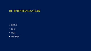 RE-EPITHELIALIZATION
•
•
•
•
 