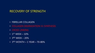 RECOVERY OF STRENGTH
•
• COLLAGEN DEGRADATION VS SYNTHESIS
• CROSS LINKING
•
•
•
 