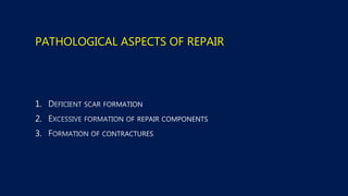PATHOLOGICAL ASPECTS OF REPAIR
1.
2.
3.
 